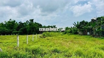 Đất mặt tiền Cây Trôm Mỹ Khánh - Thái Mỹ: 278m2 ( 5x55 ). Giá 1 tỷ 450