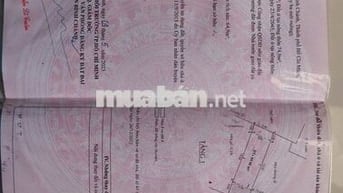 Bán nhà cấp 4  sân trước sân sau phòng khách 2 phòng ngủ