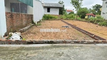Bán đất Xuân Long, Tân Dân, Sóc Sơn. Gần chợ Nam Cương, gần đường