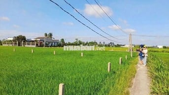1145m2 đất thổ xây nhà vườn cực đẹp chỉ 1.1 tỷ