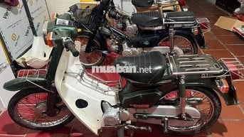 custum 50 đề .