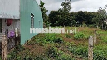 Đất đẹp.  Chân dài- Giá tốt phường Tân an (Etu củ).