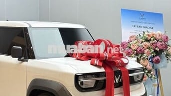 VF3 TRẢ TRƯỚC CHỈ 24 TRIỆU NHẬN XE