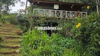 🌿Khi thành phố quá chật chội người ta bắt đầu mơ về một nơi bìnhyên🏡