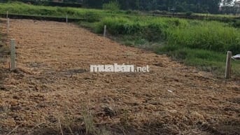 BÁN ĐẤT: 135m2 thổ cư Tân An Hội Mới cách QL22 chỉ 600m - SHR