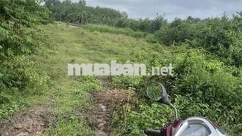 Chính chủ cần bán đất tại đường Hồ Chí Minh, 6 tỷ, 1646,7m2, sổ riêng.