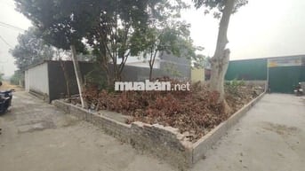 Cơ Hội Đầu Tư Cực Hiếm - Lô Góc 2 Mặt Tiền Gần Vành Đai 4 - Kim Hoa,
