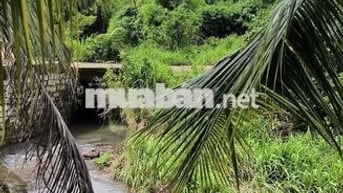Cần bán 2.13 hecta view suối ở Hắc Dịch,TP.Phú Mỹ