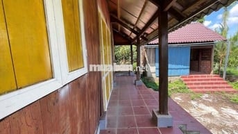 VIEW SĂN MÂY ĐẠI LÀO - BẢO LỘC DT 1009M2(16MX52M) CÓ VƯỜN CÂY ĂN TRÁI