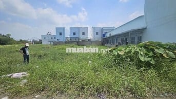KẸT TIỀN CẦN BÁN ĐẤT THỔ CƯ( KDC Trần Anh, Mỹ Hạnh Nam)