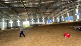 Cho thuê xưởng 12000m2 tại Vĩnh Tân Tân Uyên Bình Dương