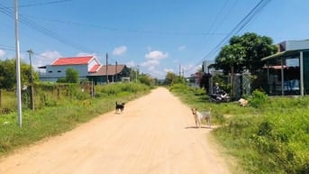 Siêu Phẩm Đất Xào Gần Biển Lagi 23x75m (2422m2) Thổ cư Mặt tiền Đường 