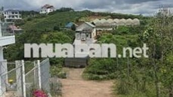 ĐẤT FULL THỔ ĐẦU TƯ NGHỈ DƯỠNG, VIEW THÔNG GIÁ TỐT
