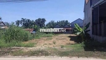 Đất ở thị trấn Tầm Vu đang cần bán gấp, 520 triệu/100m2, đất chính chủ