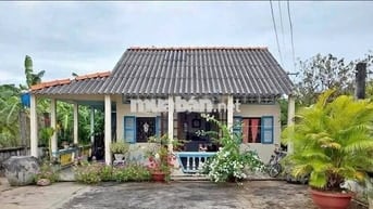 Bán đất tại Quang Trung, Thống Nhất, Đồng Nai, 980 triệu, 1300 m2