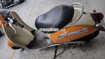Xe scoopy Nhật 50cc