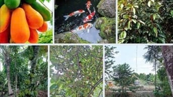 Bán 3 lô đất 46*128m MT đường Bình Nhâm 83, P. Bình Nhâm,T. Bình Dương