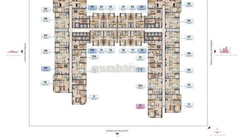 GIỏ hàng tái đầu tư các căn hộ Peninsula đa dạng tầm view & vị trí