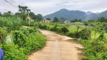 1762m full thổ cư thoáng đẹp bằng phẳng kim bôi Hòa Bình Cần bán gấp 