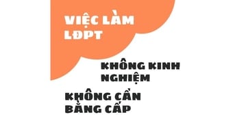 Việc làm cho LĐPT không cần kinh nghiệm làm online và offline Tân Bình
