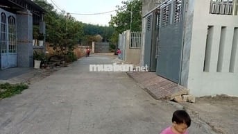 CHÍNH CHỦ BÁN ĐẤT PHƯỚC HÒA_PHÚ MỸ