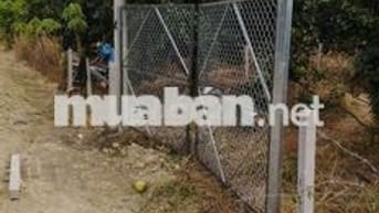 Bán gấp lô đất vườn bưởi, 700 triệu, SHR công chứng ngay