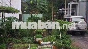 Bán Đất rẻ 2MT Thạnh xuân 40 quý khách hàng ơi