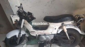 Cần bán xe chaly 81 Honda 50 như hình