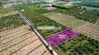 1000m Đất Vườn DT Đẹp 18x55m Có Thể Hiện Đường