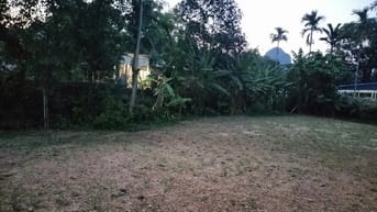 Cắt bán 1000m ngay cổng Serena Kim Bôi Hòa BÌnh, giá rẻ thương lượng 
