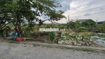 Bán đát MT Gần ql50, Tân Kim, Long An, 990 triệu, 80m2, SHR!