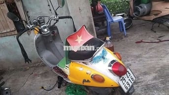Xe suzuki chong hình