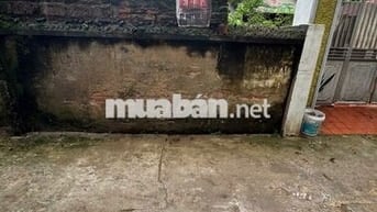 Bán gấp đất Liên Ninh ô tô ,ngõ thông ,diện tích rộng giá 4.9 tỷ