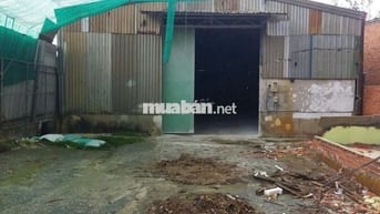 Cho thuê kho xưởng 12x40 mặt tiền Nguyễn Thị Thử,Xuân Thới Sơn Hóc Môn