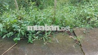 ĐAT NỀN TÂN QUƠI TRUNG GIA RẺ-CƠ HÔI ĐAU TƯ