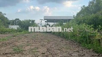 BÁN ĐẤT THỔ CƯ GIÁ TỐT – XÃ TÂN TẬP, HUYỆN CẦN GIUỘC, LONG AN