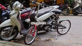 Bán shmode trắng