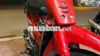 Halim wave 100