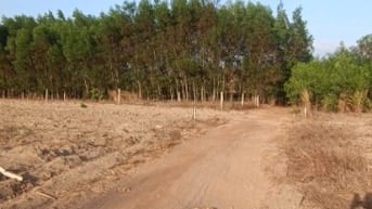 CHÍNH CHỦ BÁN ĐẤT VƯỜN 1.000M² – GIÁ CHỈ 600 TRIỆU