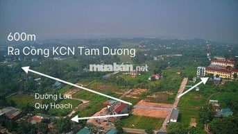 F0 Đất Hướng Đạo KCN Tam Dương Gần Trường Học,Đường nhựa va thổ cư lớn