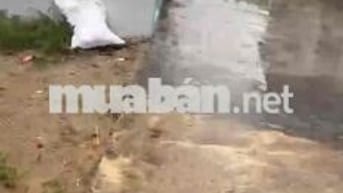 Đất ở đô thị Tại Điện Nam Bắc (cũ) giá rẻ cần bán nhanh