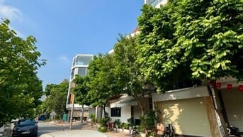 Khuôn tiền hiếm 12.x tỷ phường Việt Hưng 6 tầng thang máy vỉa hè 3 oto