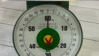 Cần bán cân Nhơn Hoà 60kg mới 90% tại quận 11