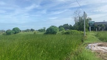 Cần tiền bán đất  Tổng diện tích 2.500m2, trong đó có 900m2 thổ cư, 