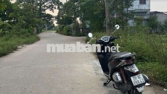 🔥🔥 SIÊU SIÊU HIẾM ĐẤT 👉 Trục Chính Tiểu Khu Đại Nam - Thị Trấn -Phú