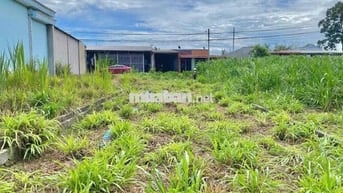🏡 BÁN ĐẤT MẶT TIỀN ĐƯỜNG ĐỖ ĐĂNG TUYỂN – XÃ AN NHƠN TÂY, CỦ CHI (TP.HC