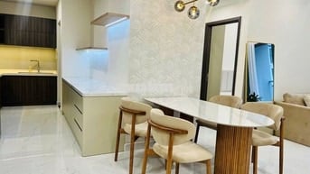 Cho Thuê Căn Hộ DIAMOND Alnata PLUS 14triệu/tháng - NTCB