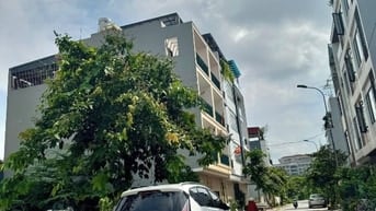 Đất đấu giá Cổ Bi, Vỉa hè oto tránh giá đầu tư, Dt 90m2 mt 6m