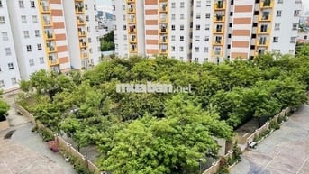 Bán căn chung cư Nest Home view pháo hoa quốc tế