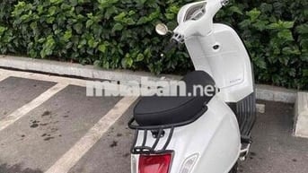 Ban xe piagio Primavera Trắng